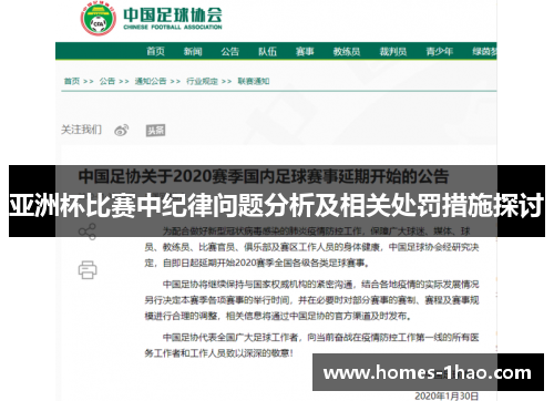 亚洲杯比赛中纪律问题分析及相关处罚措施探讨