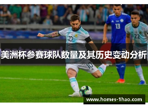 美洲杯参赛球队数量及其历史变动分析