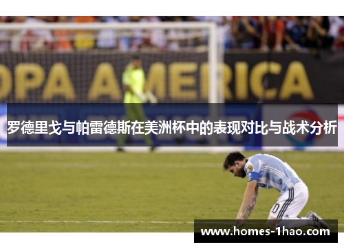 罗德里戈与帕雷德斯在美洲杯中的表现对比与战术分析