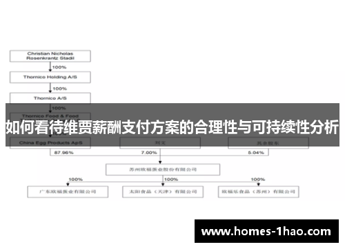 如何看待维贾薪酬支付方案的合理性与可持续性分析