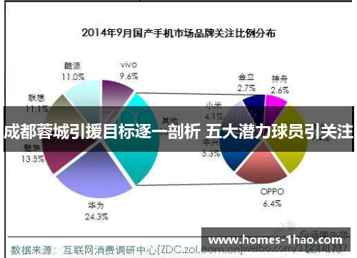 成都蓉城引援目标逐一剖析 五大潜力球员引关注
