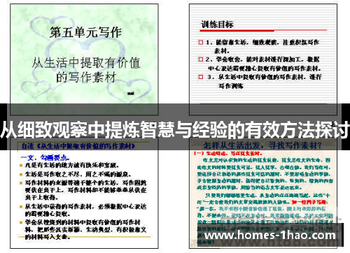 从细致观察中提炼智慧与经验的有效方法探讨