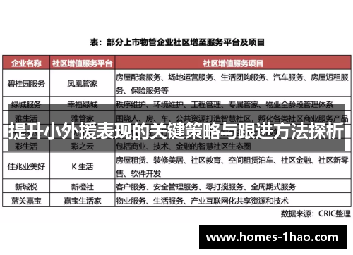 提升小外援表现的关键策略与跟进方法探析